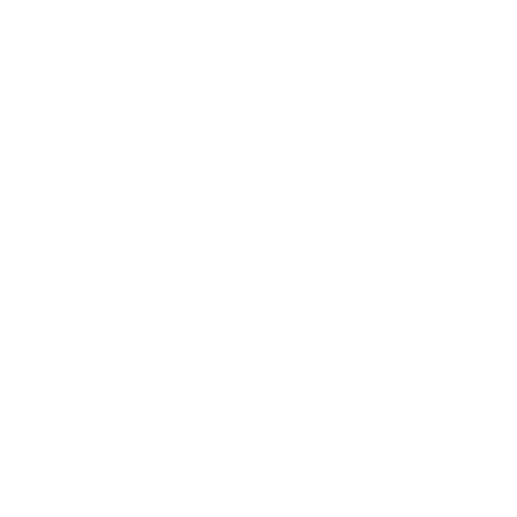 Pavel Rozman Law